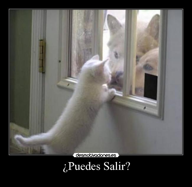¿Puedes Salir? -
