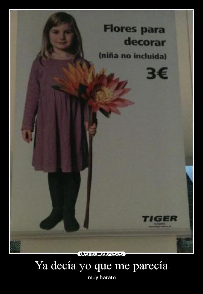 Ya decía yo que me parecía - muy barato
