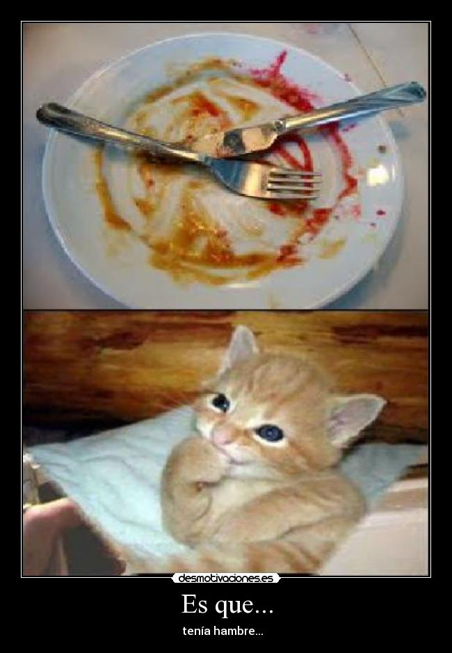 carteles tenia hambre desmotivaciones