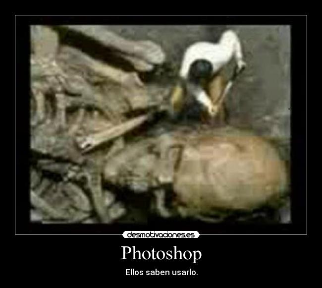 carteles photoshop desmotivaciones