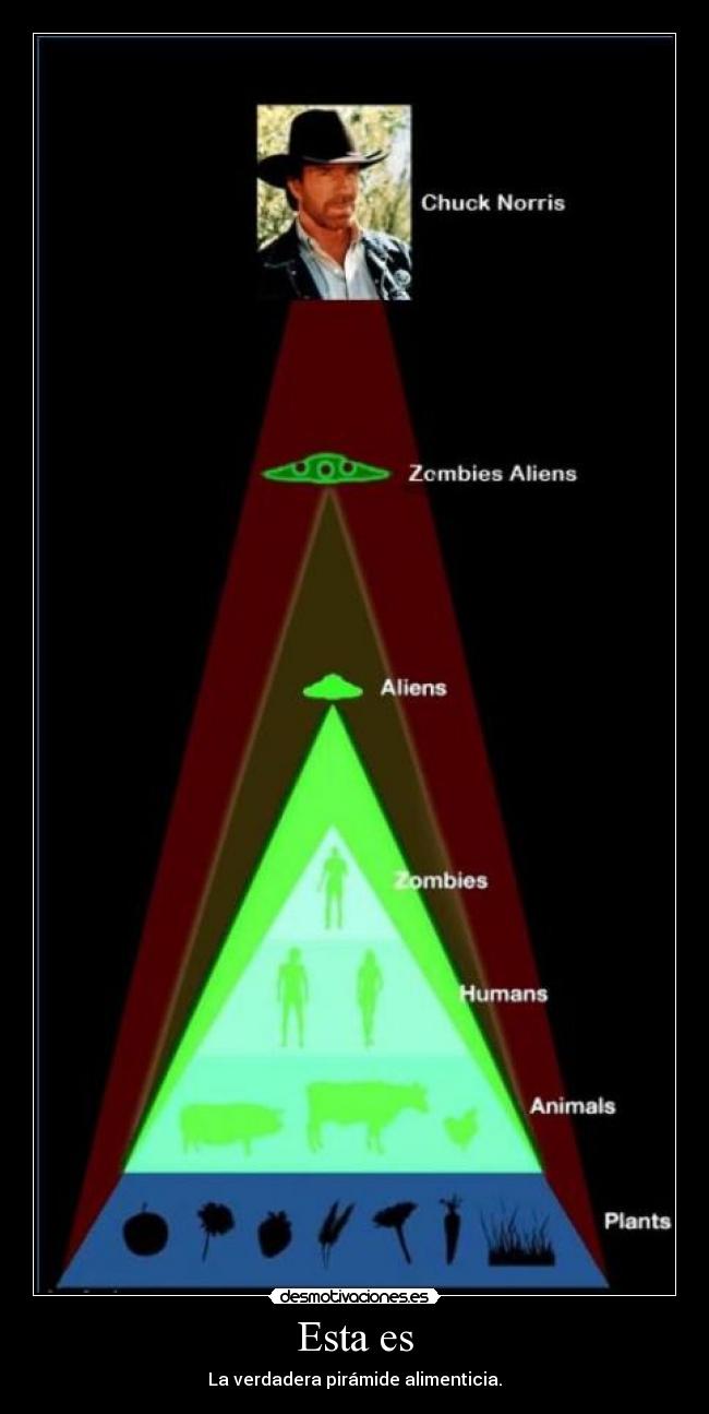 Esta es - La verdadera pirámide alimenticia.