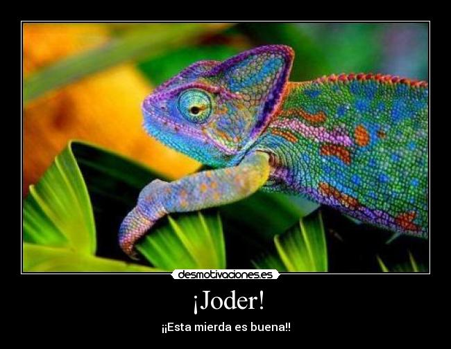 ¡Joder! - 