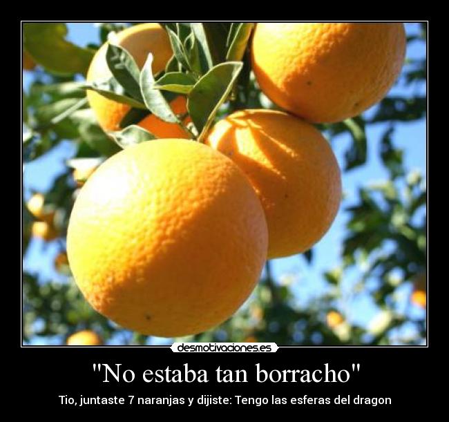 No estaba tan borracho -