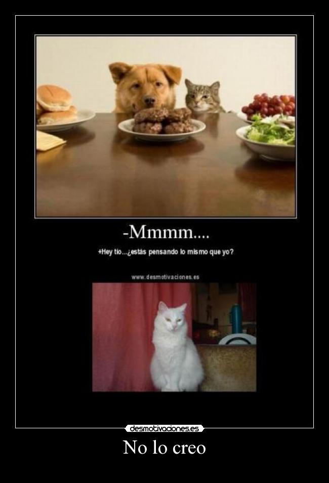 No lo creo -