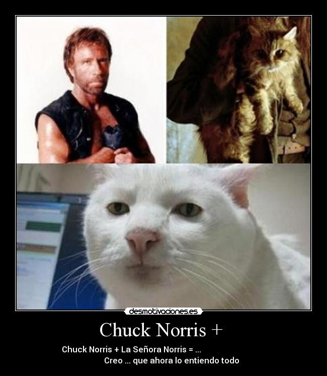 Chuck Norris +  - 