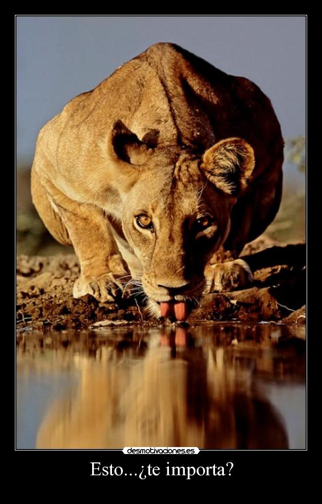 Esto...¿te importa? - 