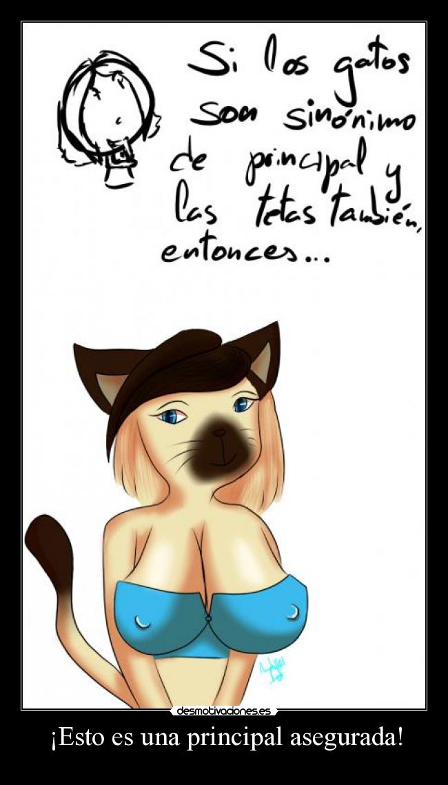 carteles gata tetas pechos pezones principal desmotivaciones