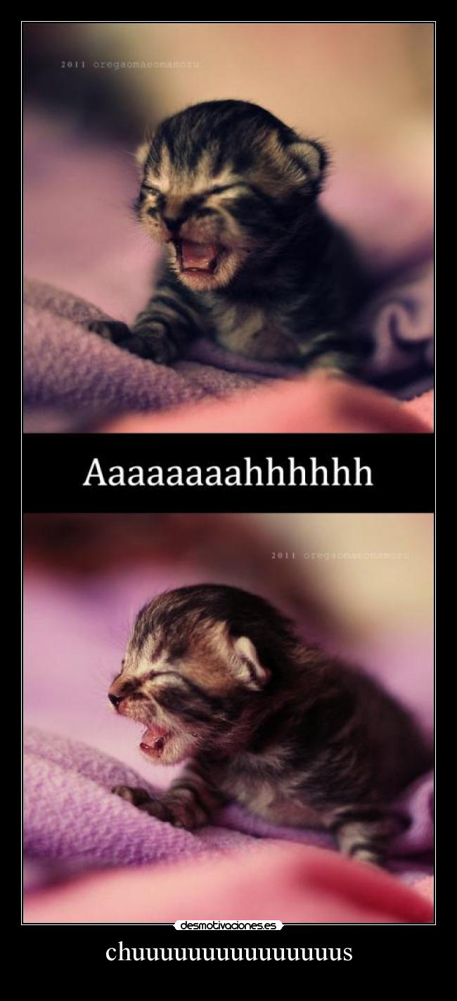 carteles estornudo desmotivaciones