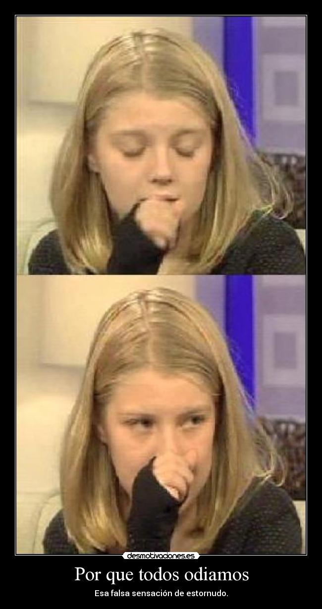 Por que todos odiamos - 