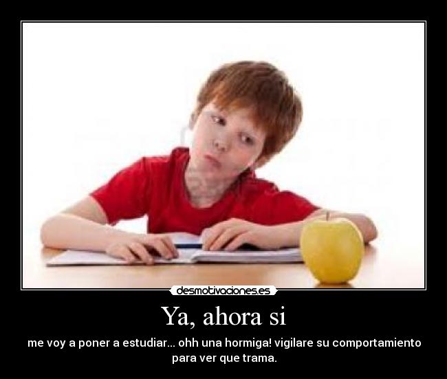 Ya, ahora si - me voy a poner a estudiar... ohh una hormiga! vigilare su comportamiento
para ver que trama.