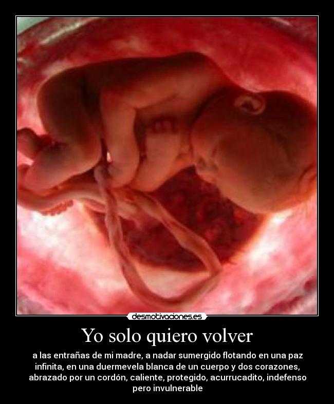 Yo solo quiero volver - a las entrañas de mi madre, a nadar sumergido flotando en una paz
infinita, en una duermevela blanca de un cuerpo y dos corazones,
abrazado por un cordón, caliente, protegido, acurrucadito, indefenso
pero invulnerable