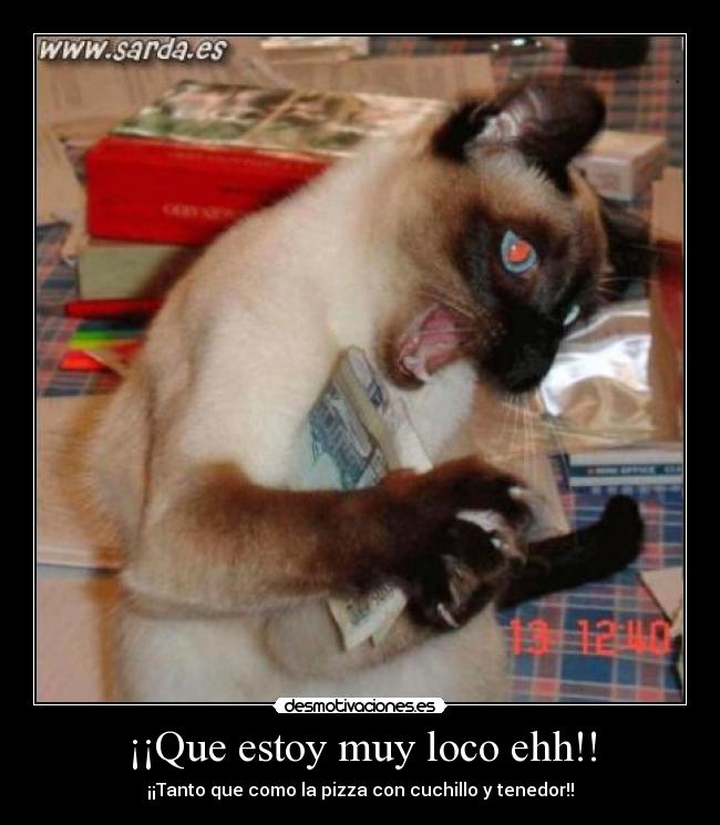 ¡¡Que estoy muy loco ehh!! - 