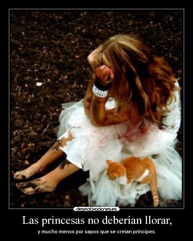 Las princesas no deberían llorar, - y mucho menos por sapos que se creían príncipes.
