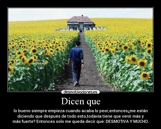 carteles dicen que desmotivaciones