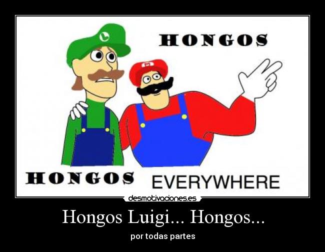 Hongos Luigi... Hongos... - por todas partes