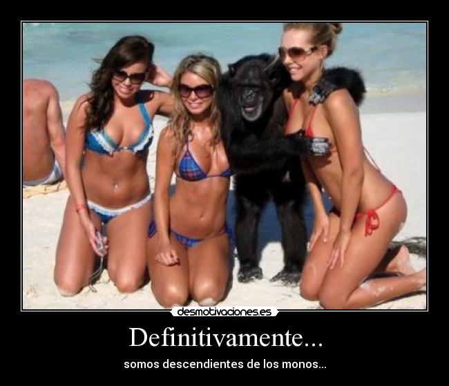 carteles verdad descendiente monos desmotivaciones