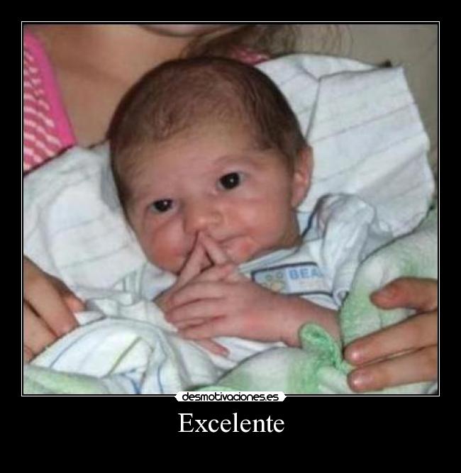 Excelente - 