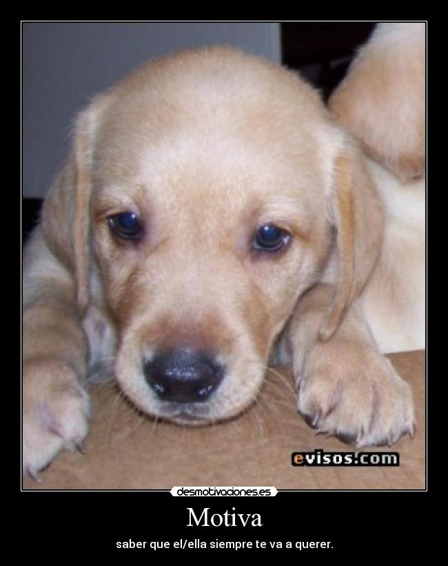 carteles motiva desmotivaciones