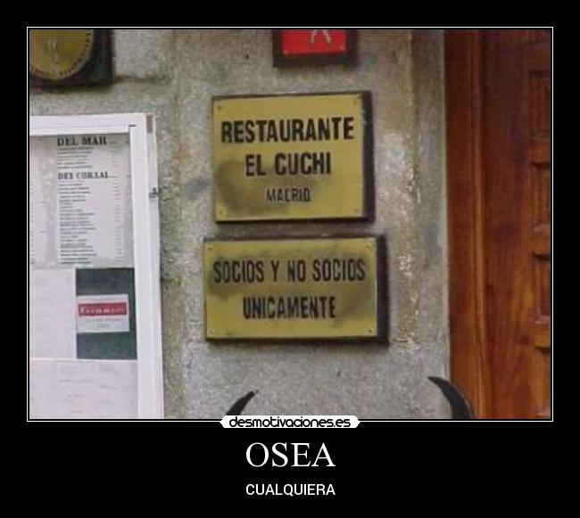 OSEA - CUALQUIERA