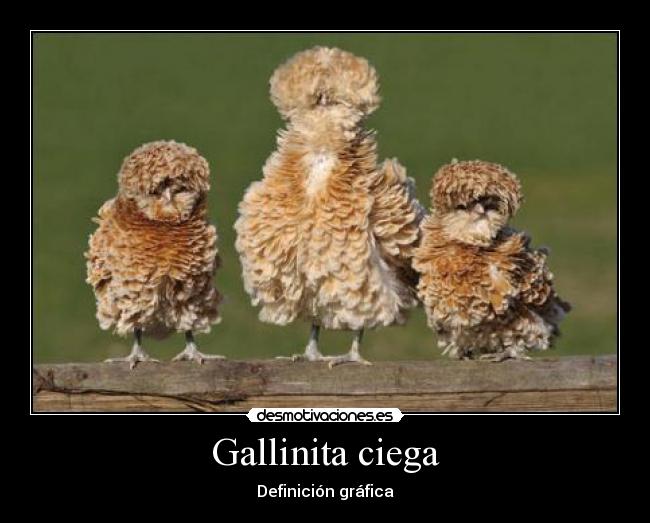 Gallinita ciega - Definición gráfica