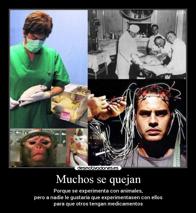 Muchos se quejan - Porque se experimenta con animales,
pero a nadie le gustaría que experimentasen con ellos
para que otros tengan medicamentos