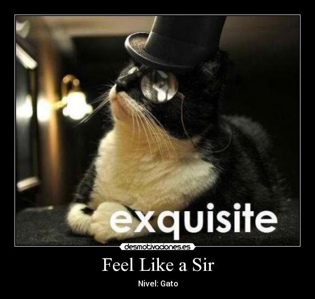 Feel Like a Sir - 