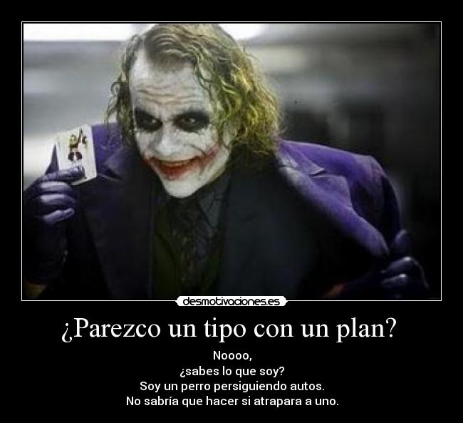 ¿Parezco un tipo con un plan? -