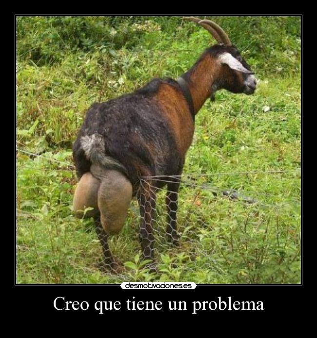 Creo que tiene un problema - 