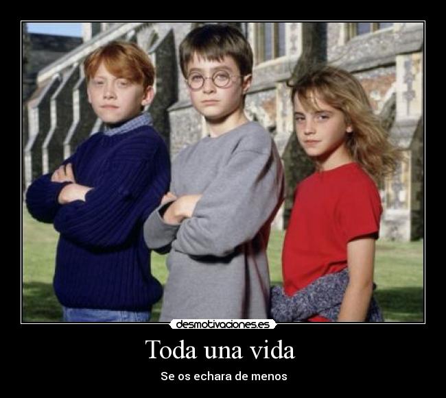 carteles vida harry potter desmotivaciones