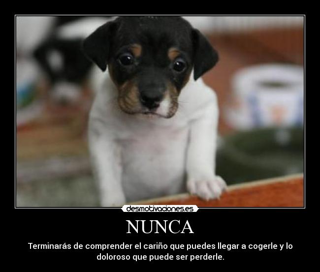 NUNCA - 