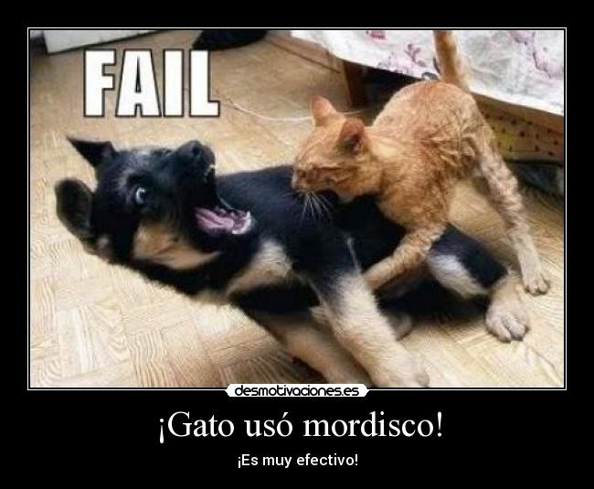 ¡Gato usó mordisco! - ¡Es muy efectivo!