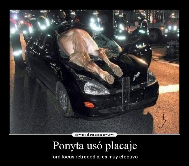 Ponyta usó placaje - 