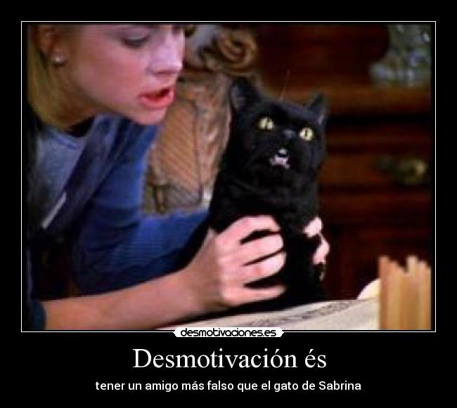 Desmotivación és - tener un amigo más falso que el gato de Sabrina