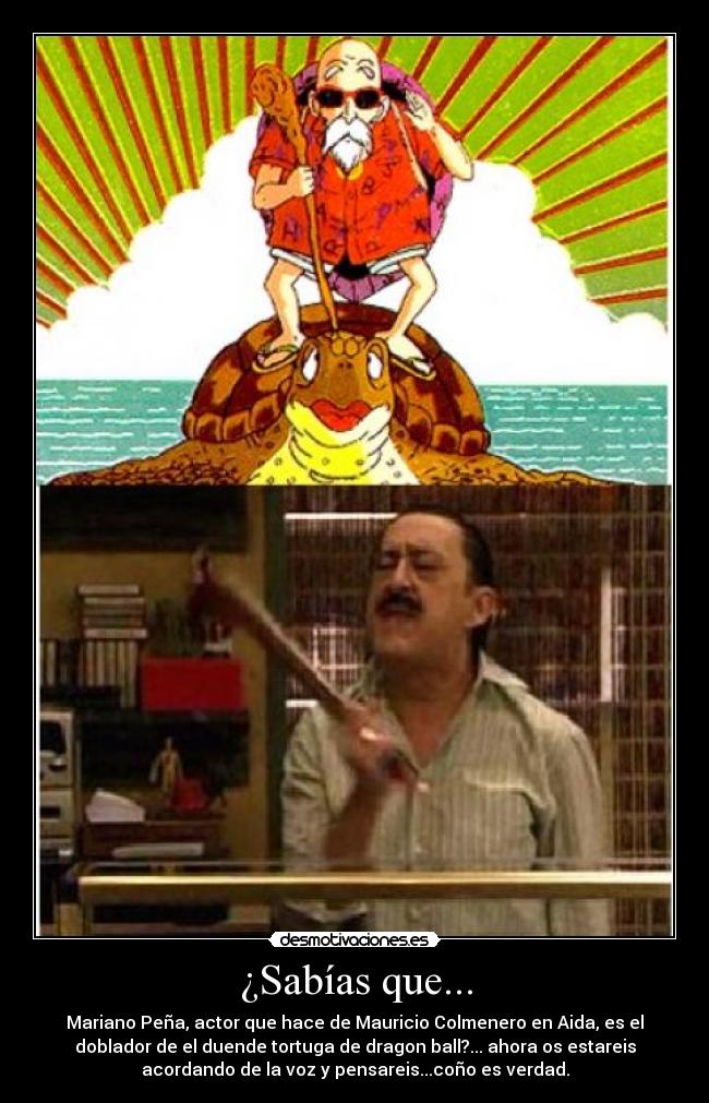 ¿Sabías que... - Mariano Peña, actor que hace de Mauricio Colmenero en Aida, es el
doblador de el duende tortuga de dragon ball?... ahora os estareis
acordando de la voz y pensareis...coño es verdad.