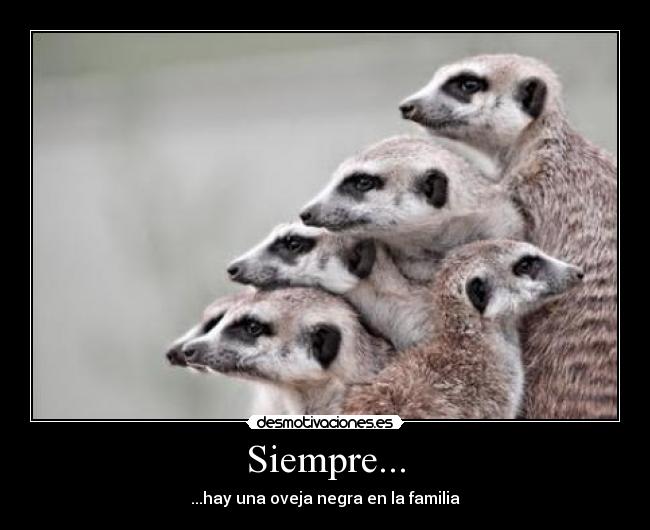 Siempre... - ...hay una oveja negra en la familia
