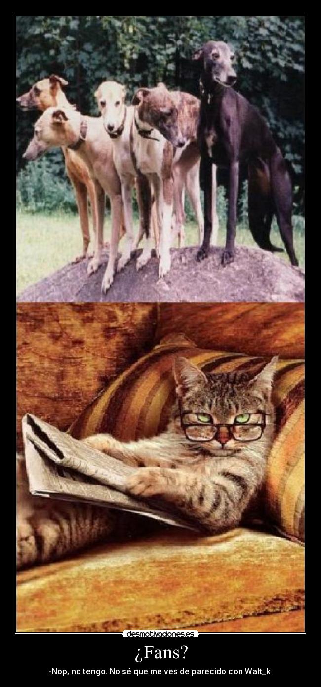 ¿Fans? - -Nop, no tengo. No sé que me ves de parecido con Walt_k
