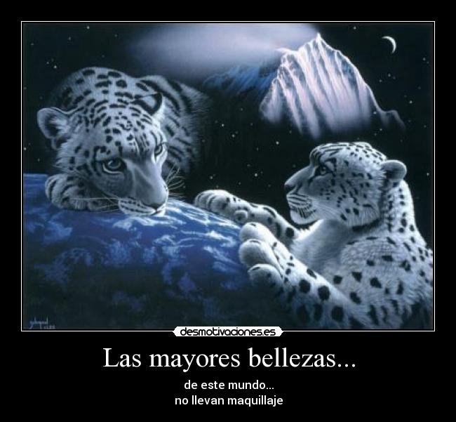 carteles las mayores bellezas desmotivaciones