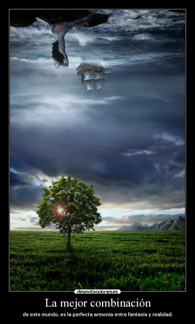 carteles mejor combinacion desmotivaciones