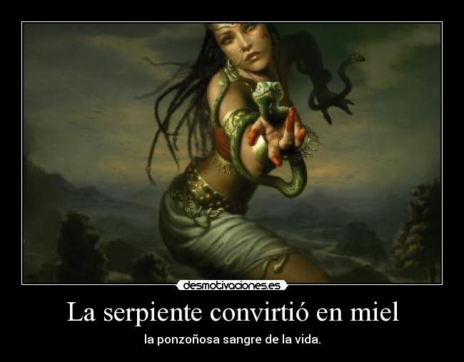 La serpiente convirtió en miel - 
