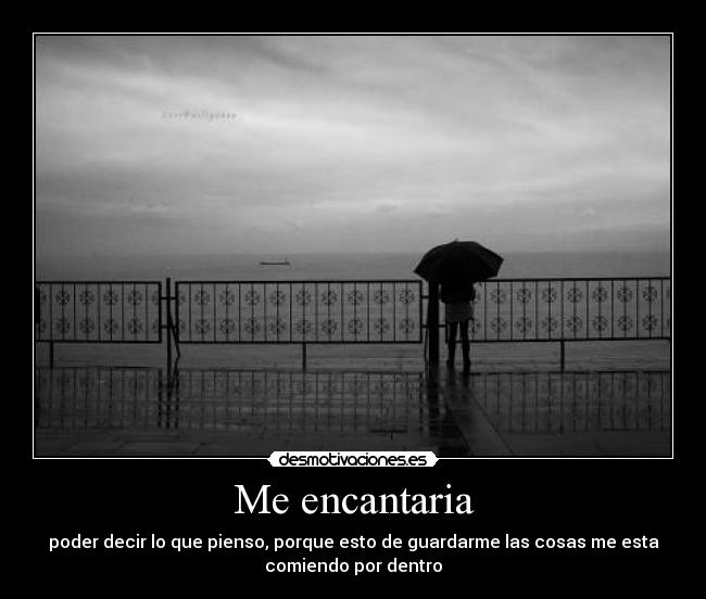 Me encantaria - 