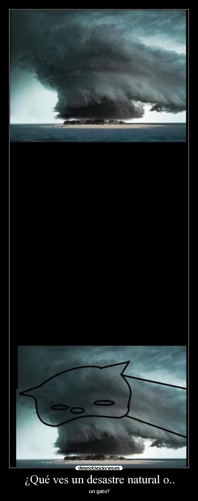 ¿Qué ves un desastre natural o.. - un gato?