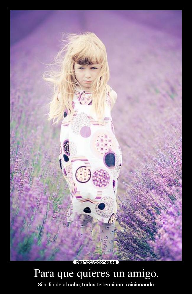 Para que quieres un amigo. -