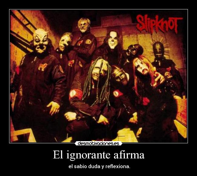 El ignorante afirma -