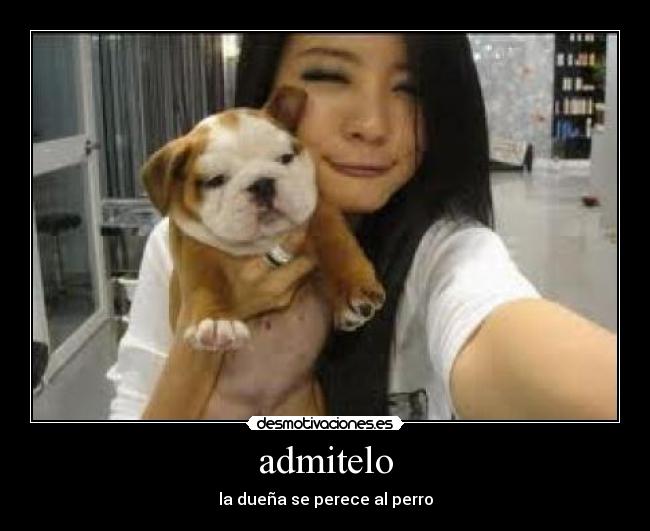 admitelo - la dueña se perece al perro