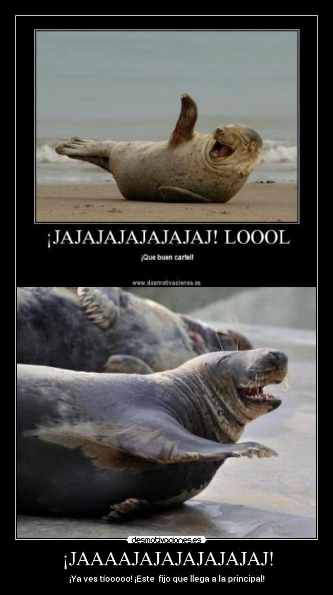 ¡JAAAAJAJAJAJAJAJAJ! -