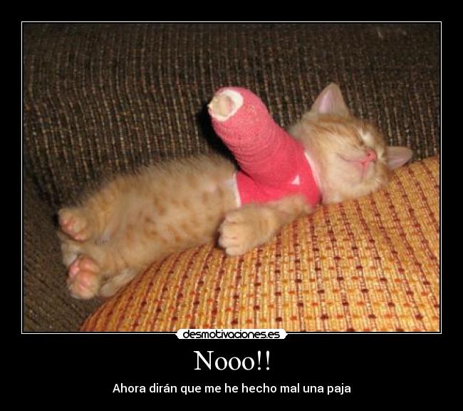Nooo!! - Ahora dirán que me he hecho mal una paja