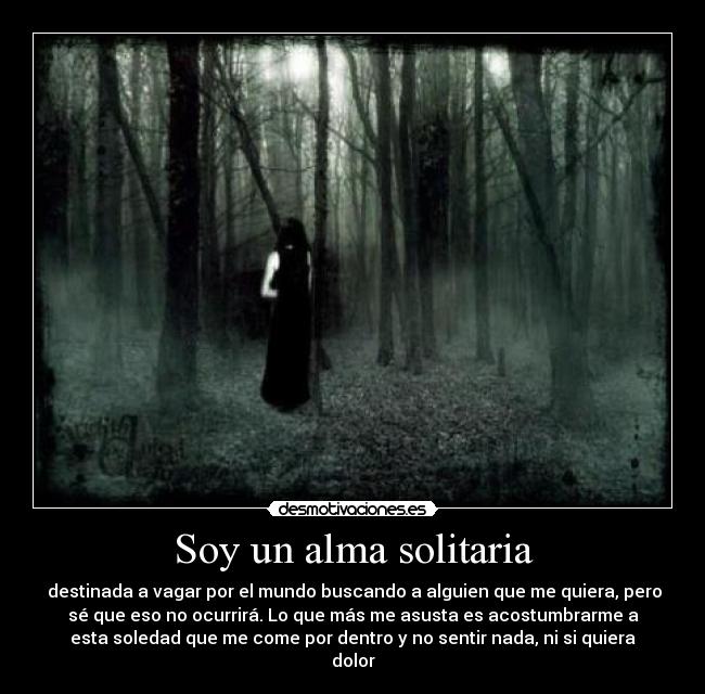 Soy un alma solitaria -  destinada a vagar por el mundo buscando a alguien que me quiera, pero
sé que eso no ocurrirá. Lo que más me asusta es acostumbrarme a
esta soledad que me come por dentro y no sentir nada, ni si quiera
dolor