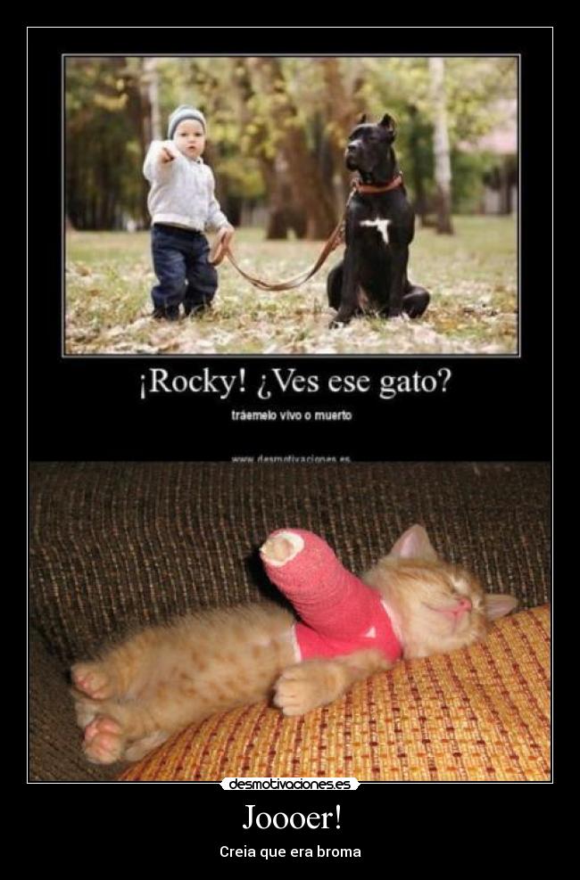 Joooer! - Creia que era broma