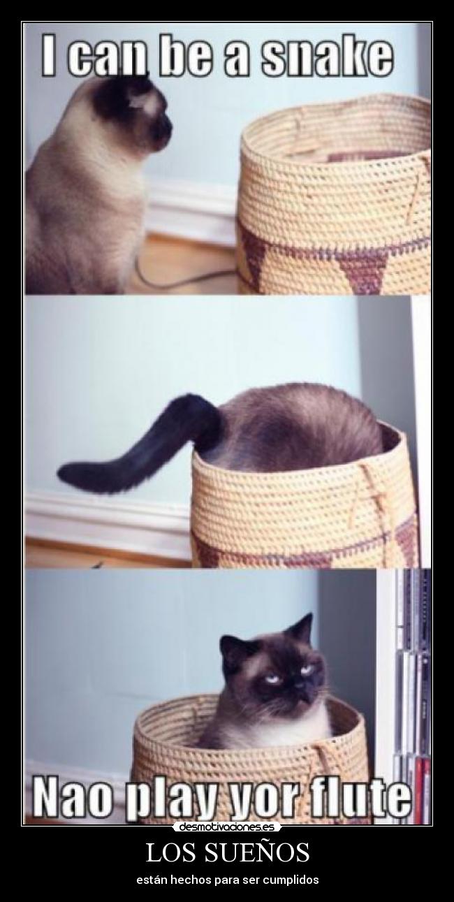 LOS SUEÑOS - están hechos para ser cumplidos