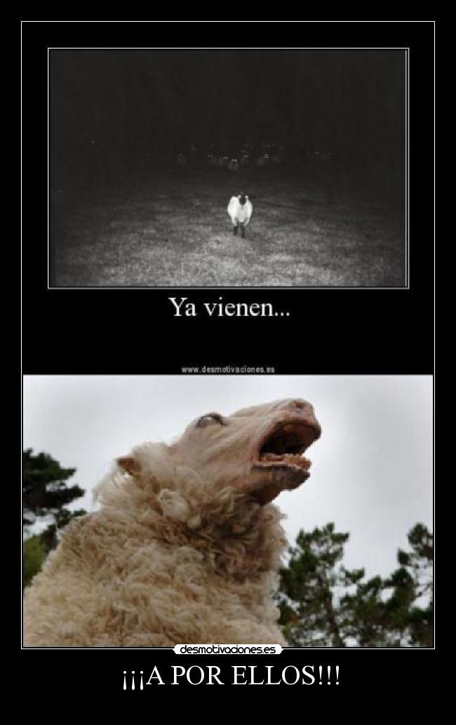 ¡¡¡A POR ELLOS!!! -